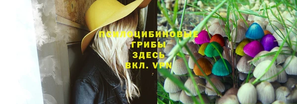 мескалин Бородино