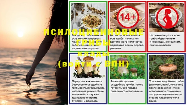 мескалин Бородино