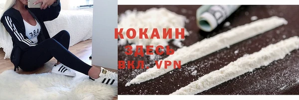 стафф Бронницы