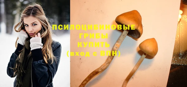 мескалин Бородино