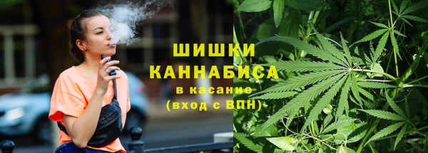 стафф Бронницы