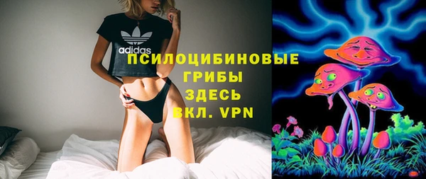 стафф Бронницы