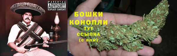 стафф Бронницы